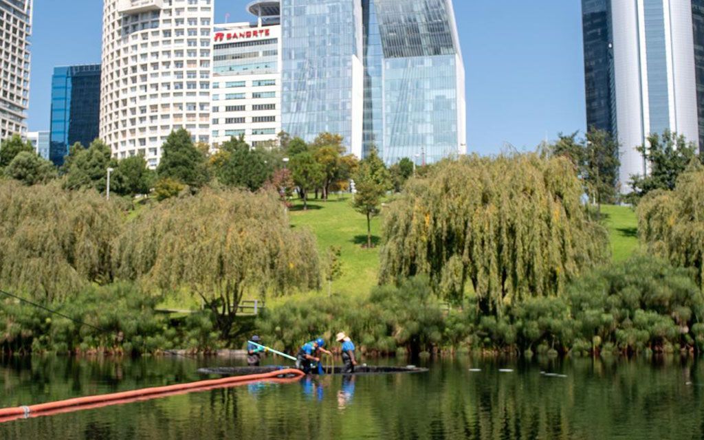 DESAZOLVES MEXICANOS