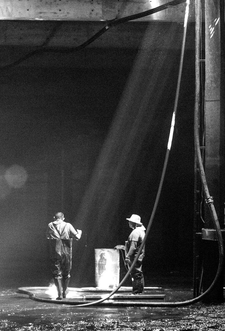 DESAZOLVES MEXICANOS