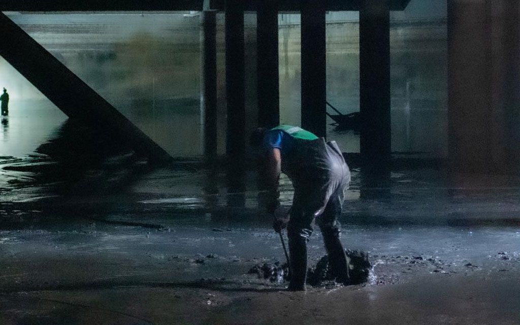 DESAZOLVES MEXICANOS