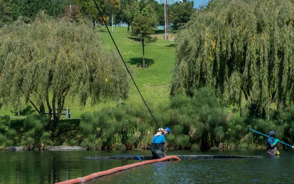 DESAZOLVES MEXICANOS