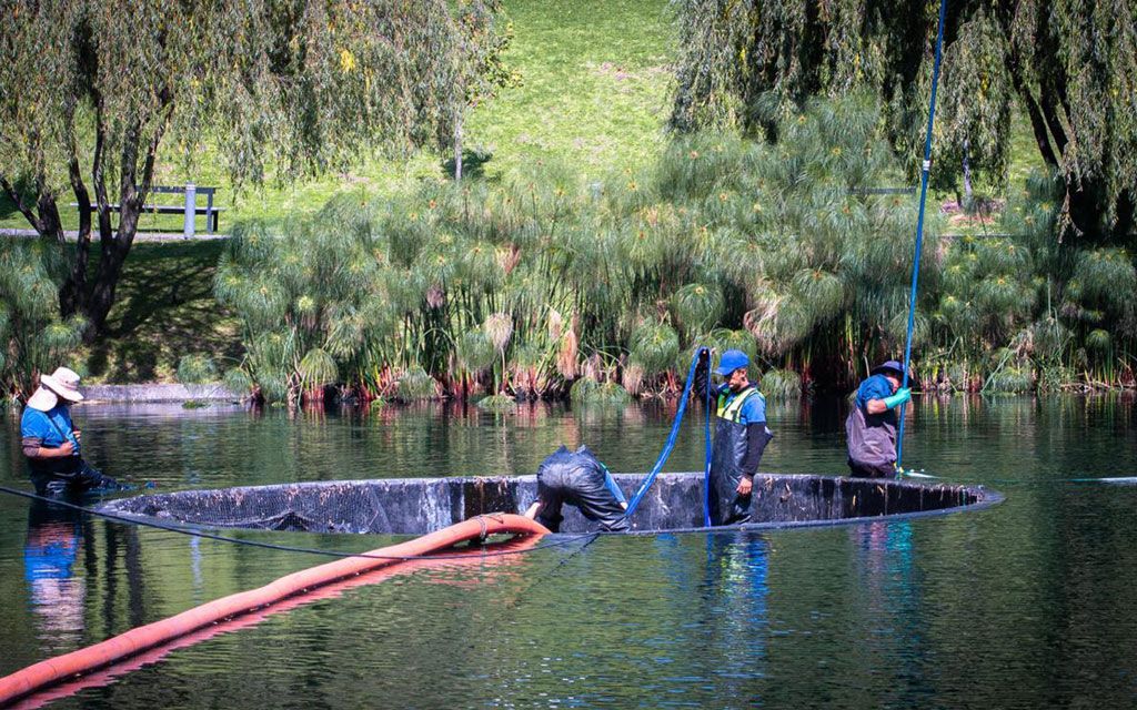 DESAZOLVES MEXICANOS