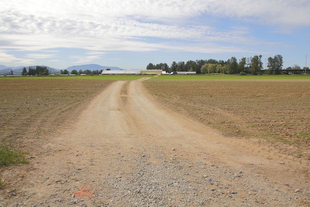Dirt road through a plowed field, leading to buildings and trees under a cloudy sky.