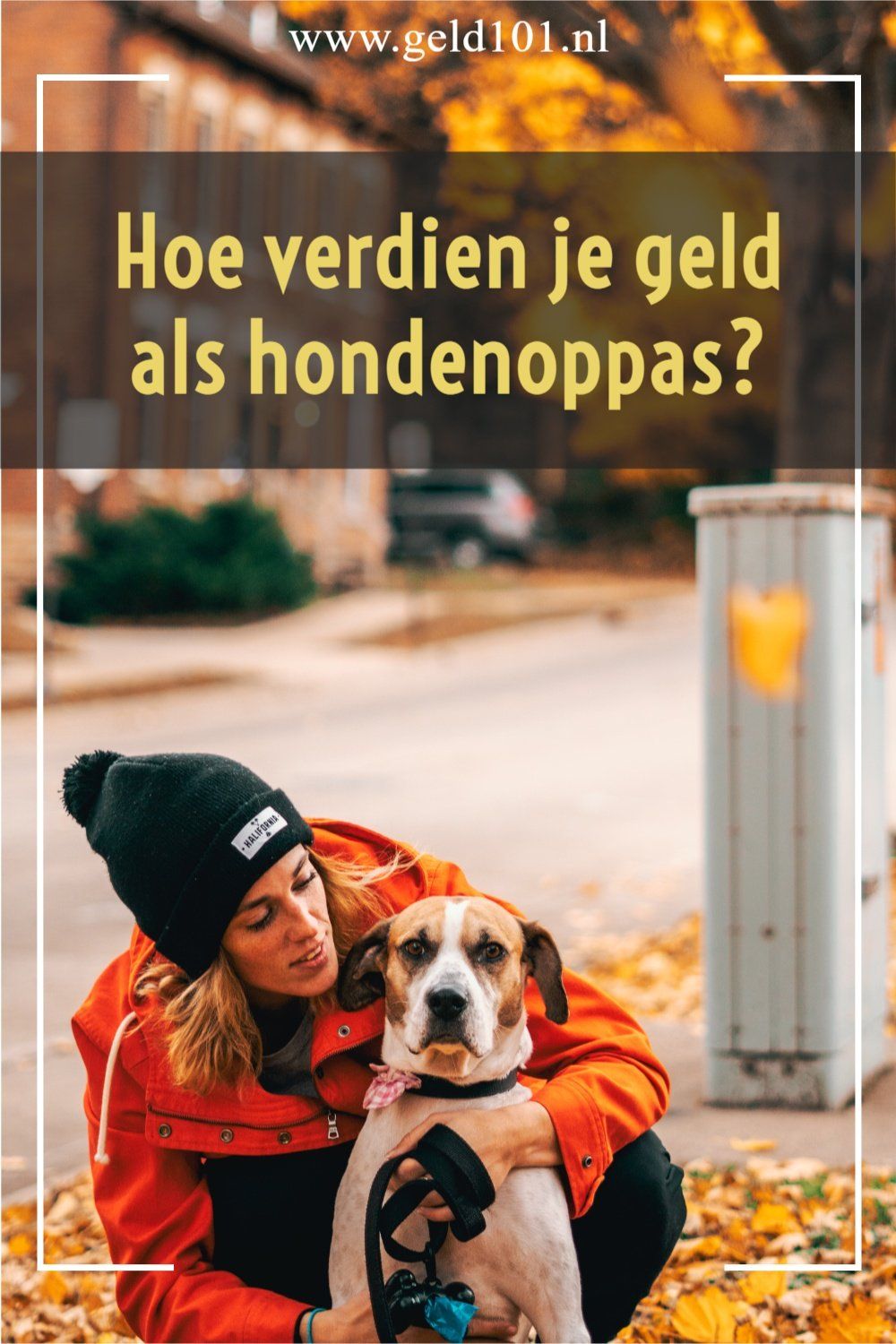 hoe verdien je als hondenoppas