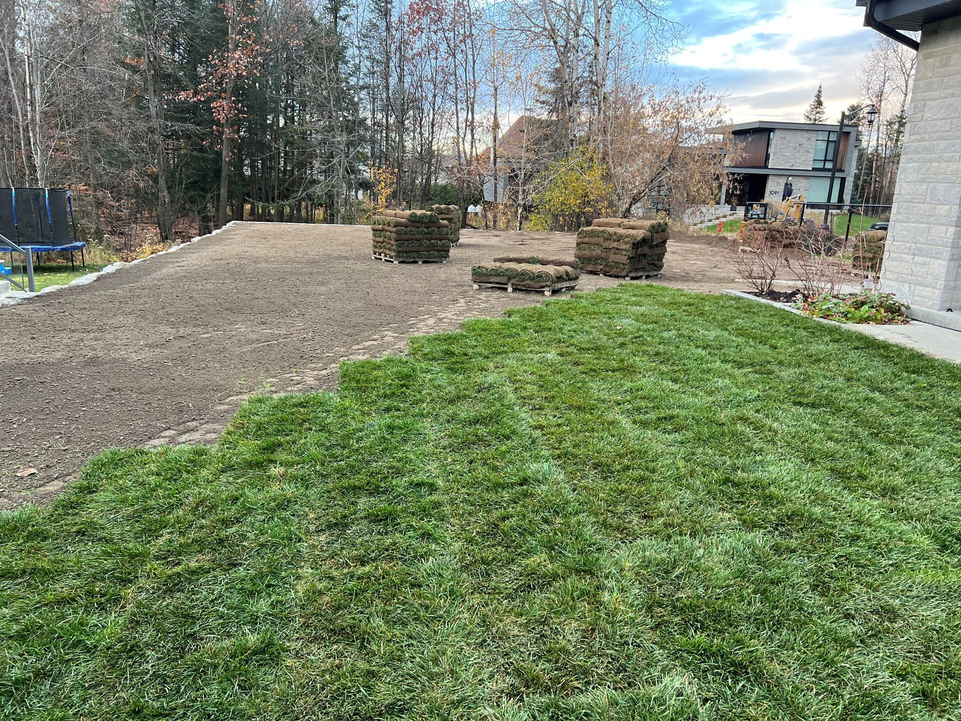 Une pelouse avec beaucoup d'herbe et une maison en arrière-plan.