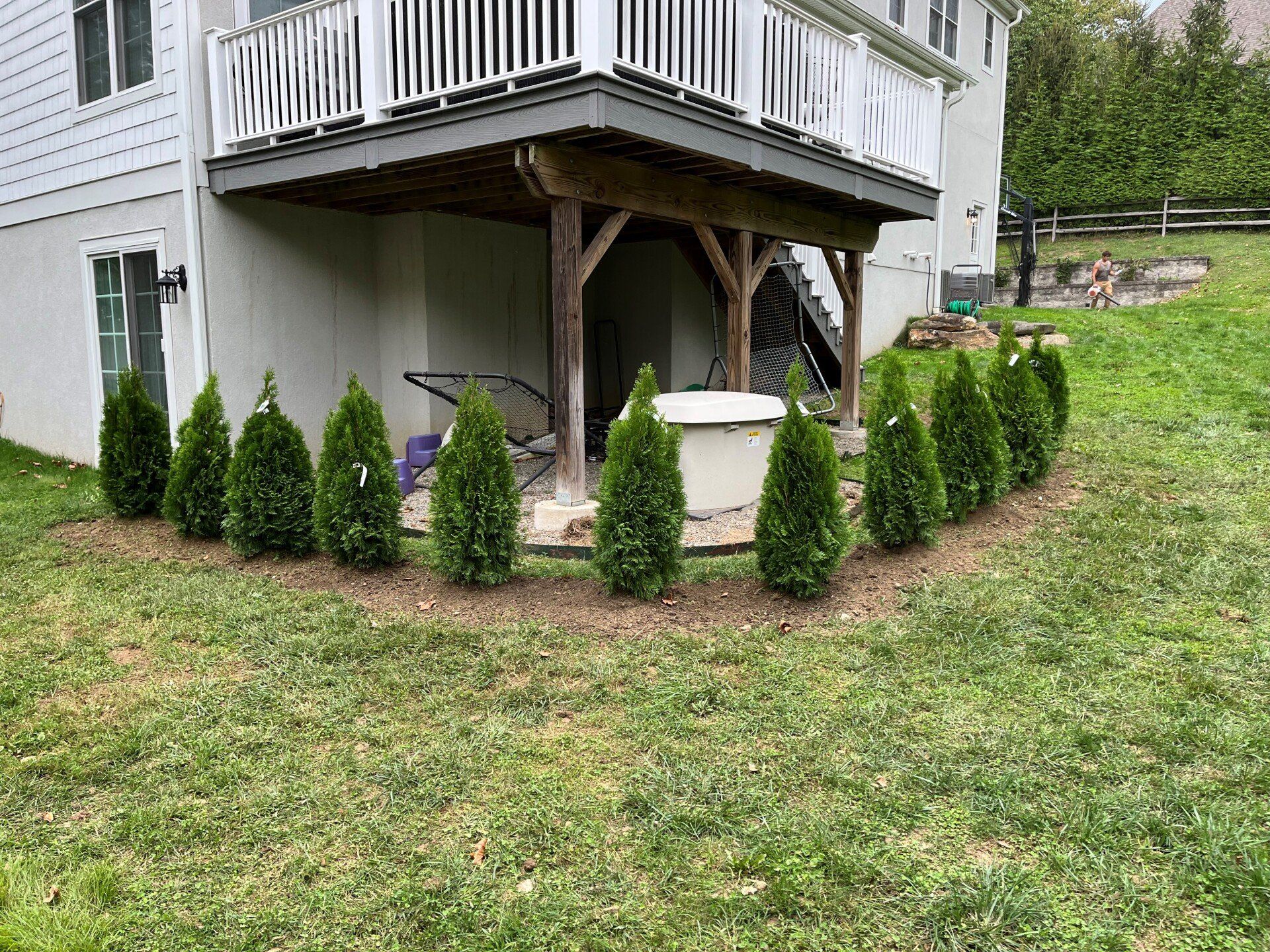 Removing Ivy Growing — Havertown, PA — Moore's Landscaping and Tree Service
