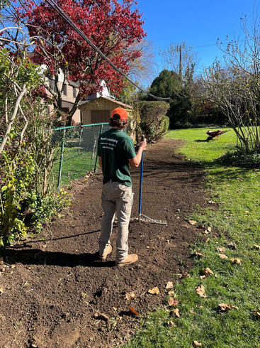Cut Down Tree — Havertown, PA — Moore's Landscaping and Tree Service