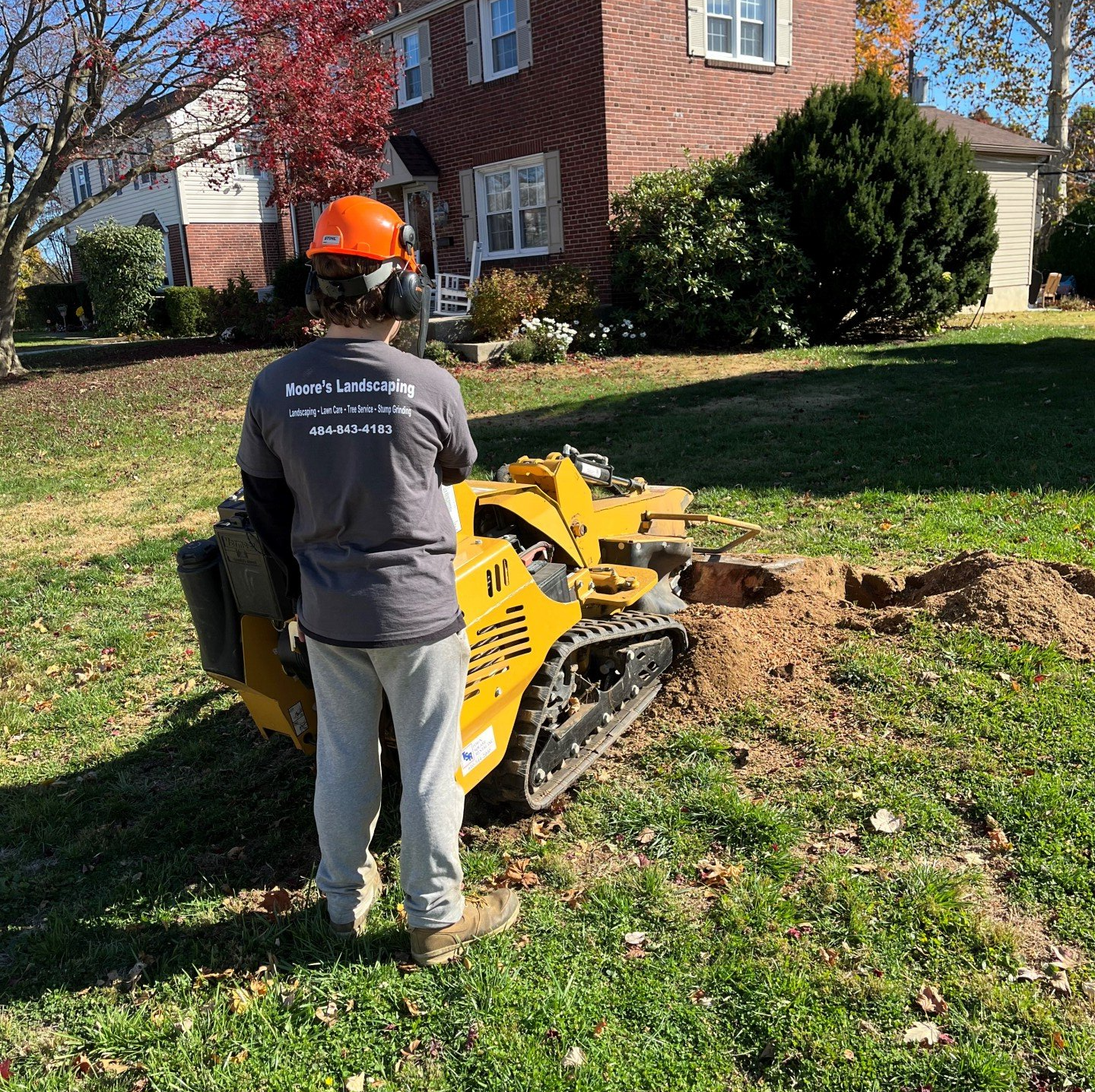 A Forest Tree Stump — Havertown, PA — Moore's Landscaping and Tree Service
