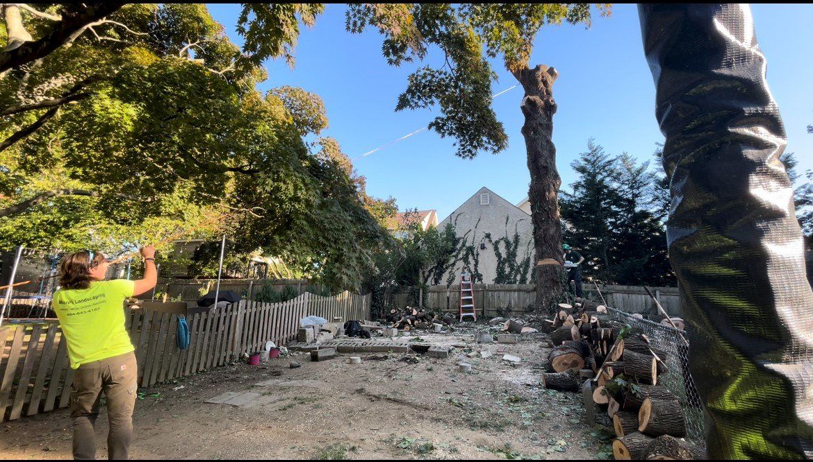 Fallen Tree — Havertown, PA — Moore's Landscaping and Tree Service