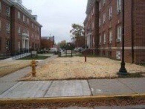 Sprinkler System — Chester, VA — ARW Contracting, Inc.