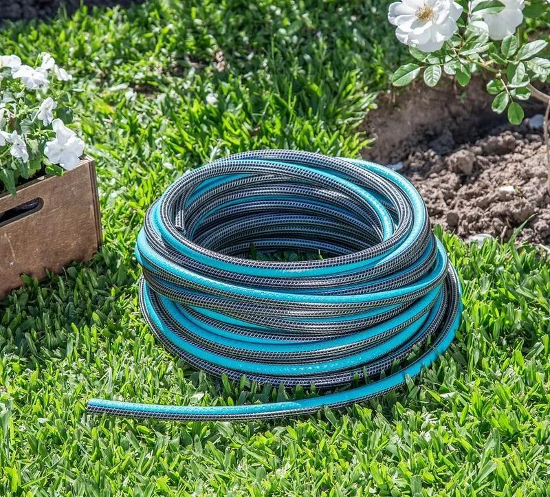 Manguera de jardín azul y gris enrollada sobre césped verde cerca de plantas en macetas y una flor blanca.