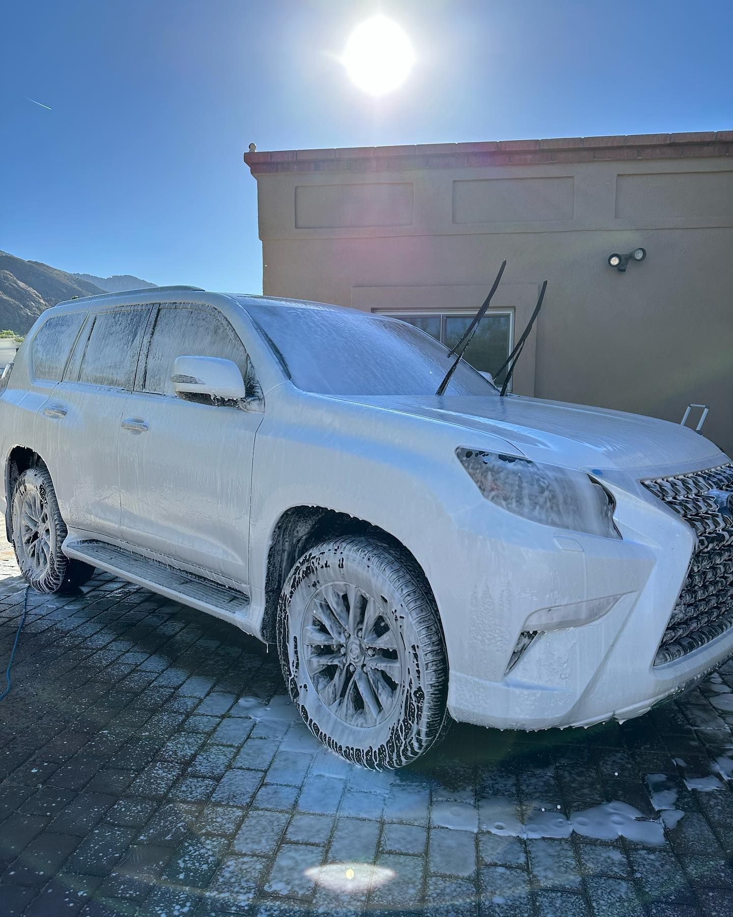 Car Cleaning - Marana, AZ - Blue Agave Detailing