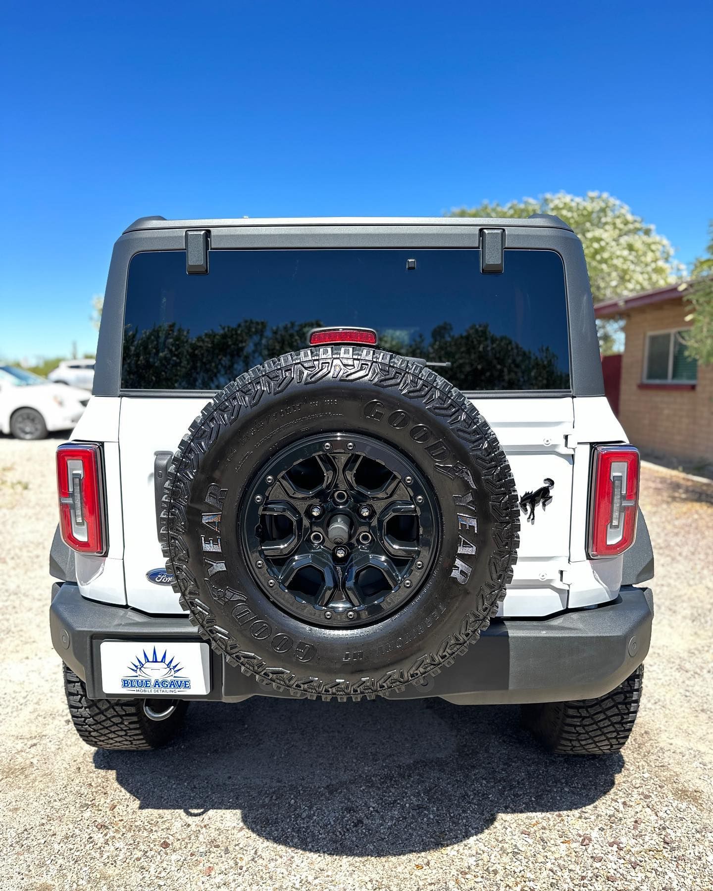 Back of the Car - Marana, AZ - Blue Agave Detailing