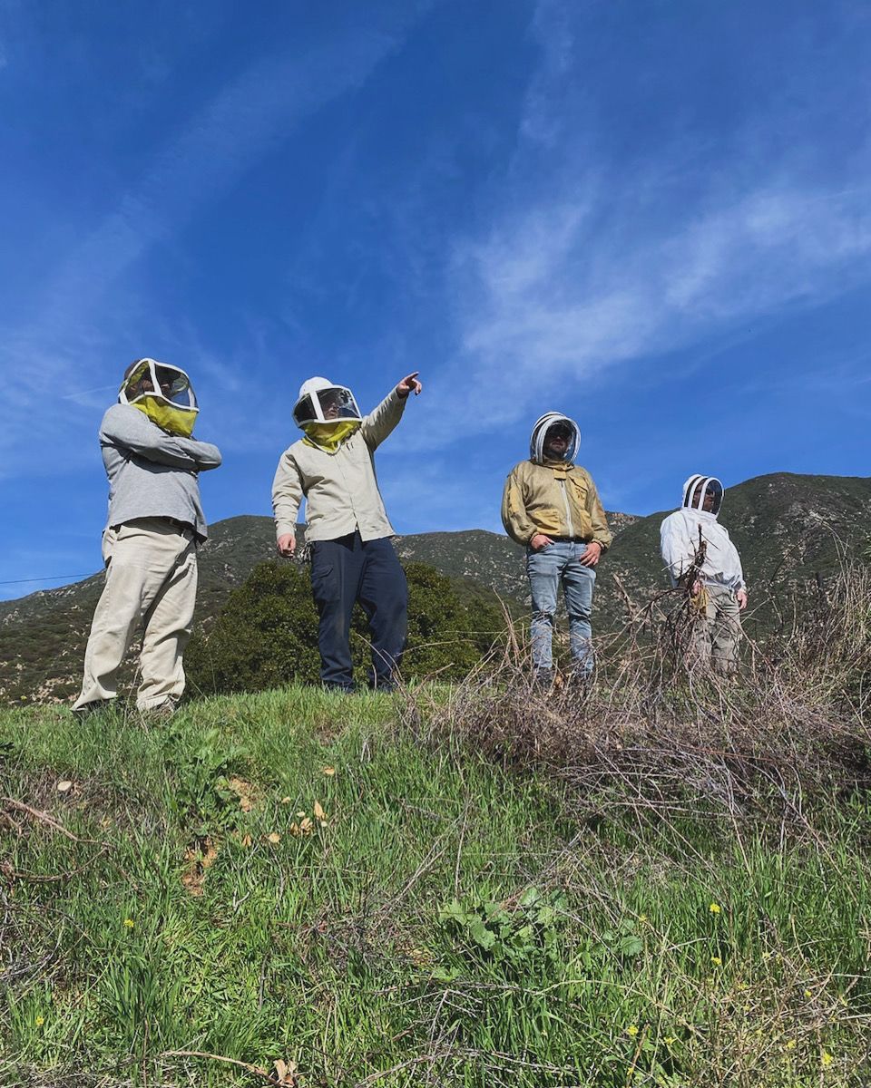a group of beekeepers are standing on top of a grassy hill