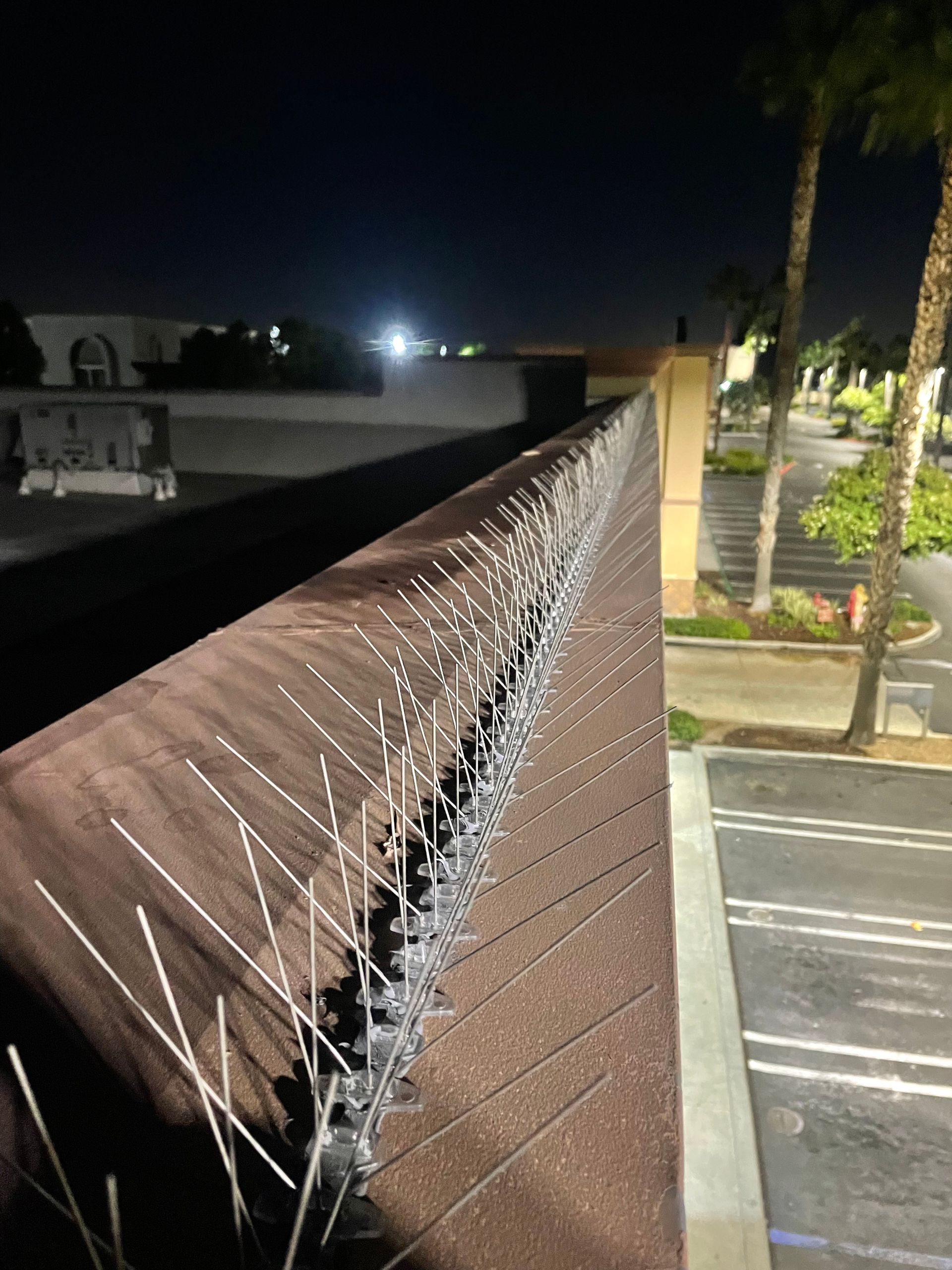 a row of bird spikes on the side of a building at night