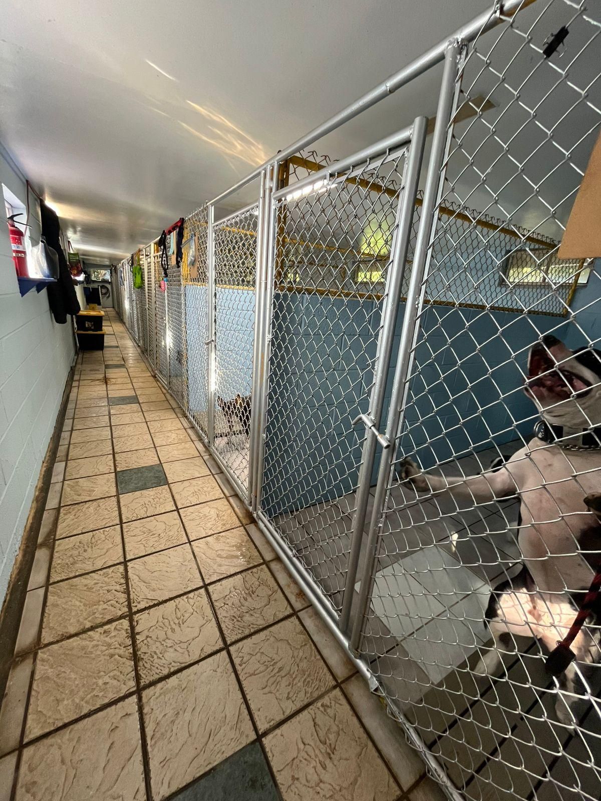 LUXURY QTRS— Bihari Kennels in Nanuet, NY