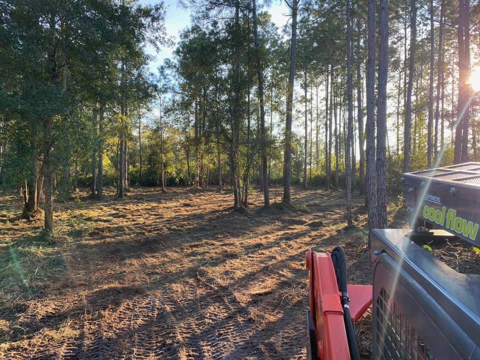 A tractor is driving through a lush green forest.