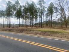 A road with a lot of trees on the side of it
