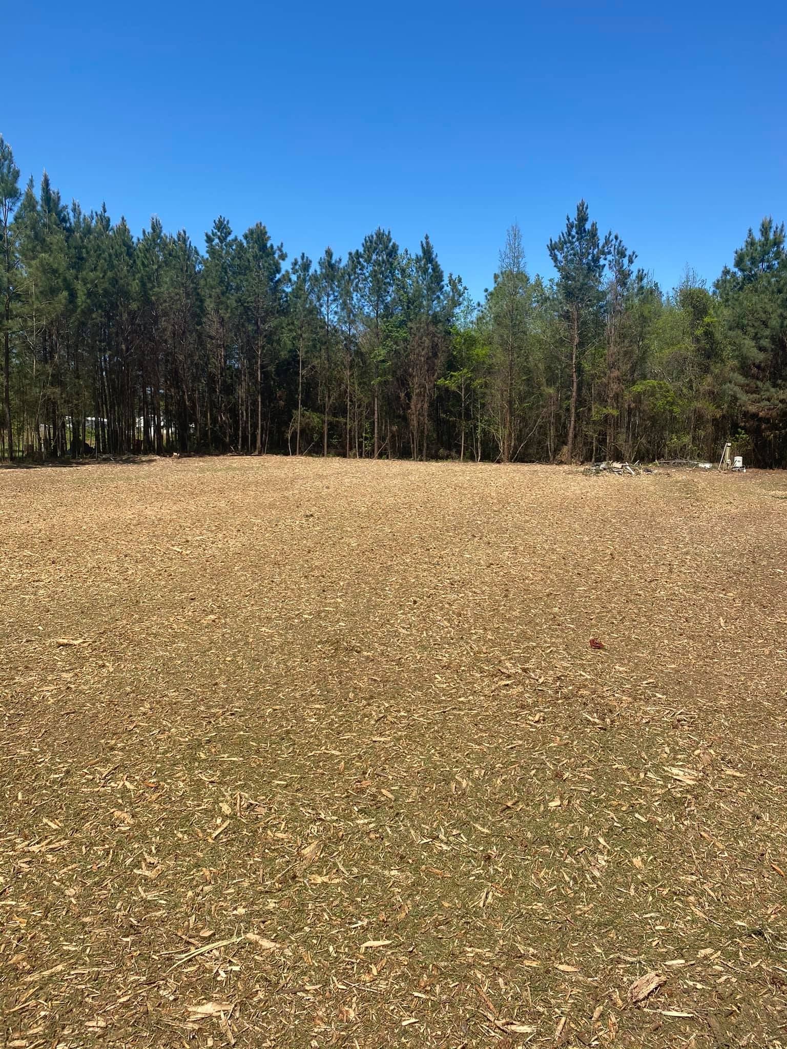 A field with trees in the background and a blue sky in the background.