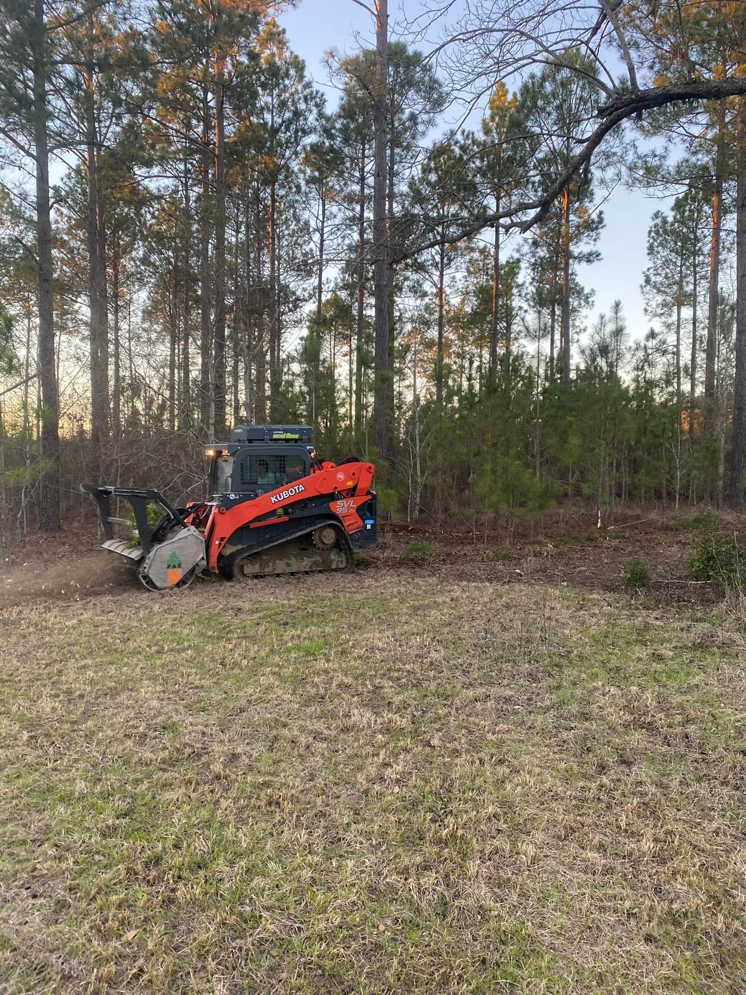 A red and black tractor is cutting down trees in a field.
