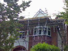domestic scaffolds