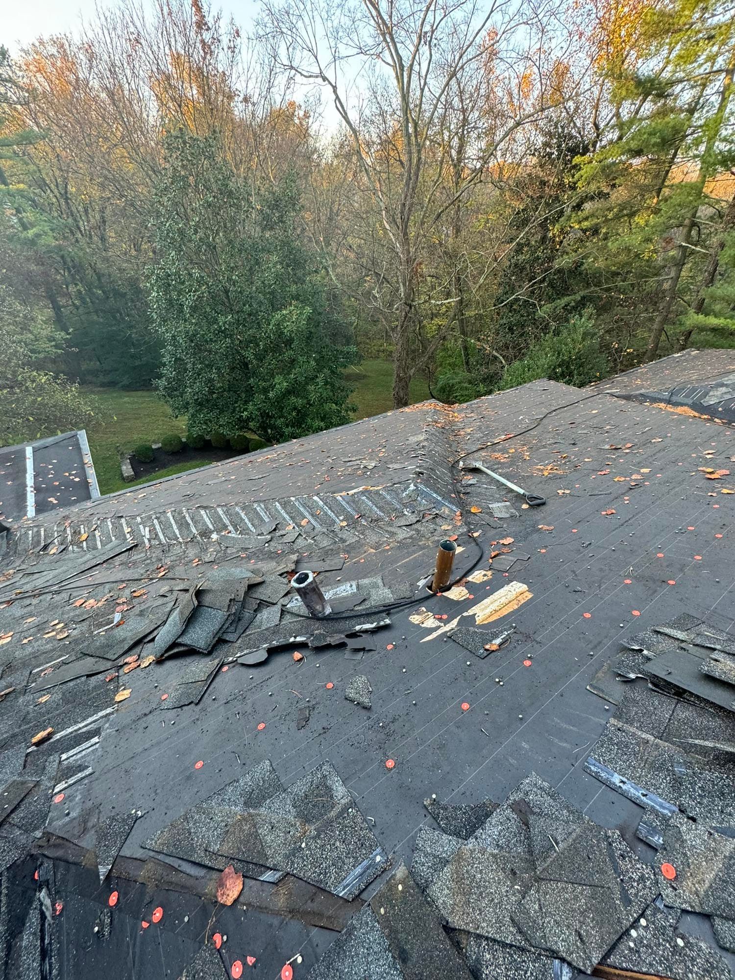 damage to a roof. looking to spot a roof leak on damaged roof