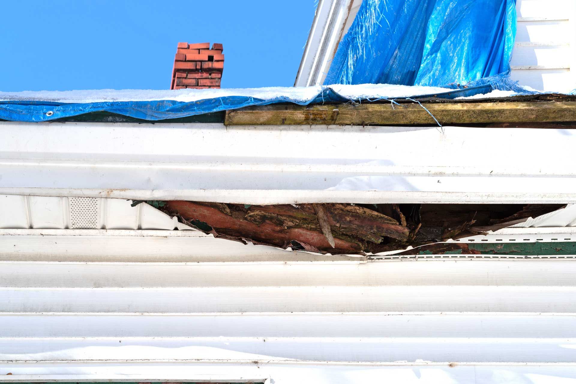 gutter and siding that needs reapir