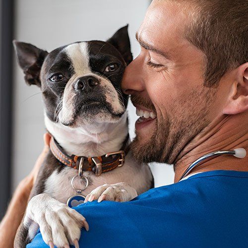 Dog And Doctor — Syracuse, NY — Mattydale Animal Hospital
