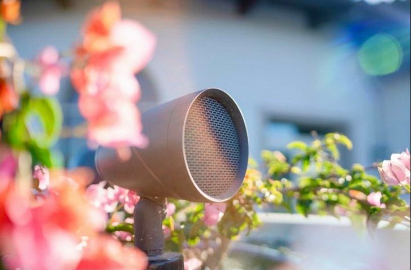 A speaker is sitting in front of a bunch of flowers.