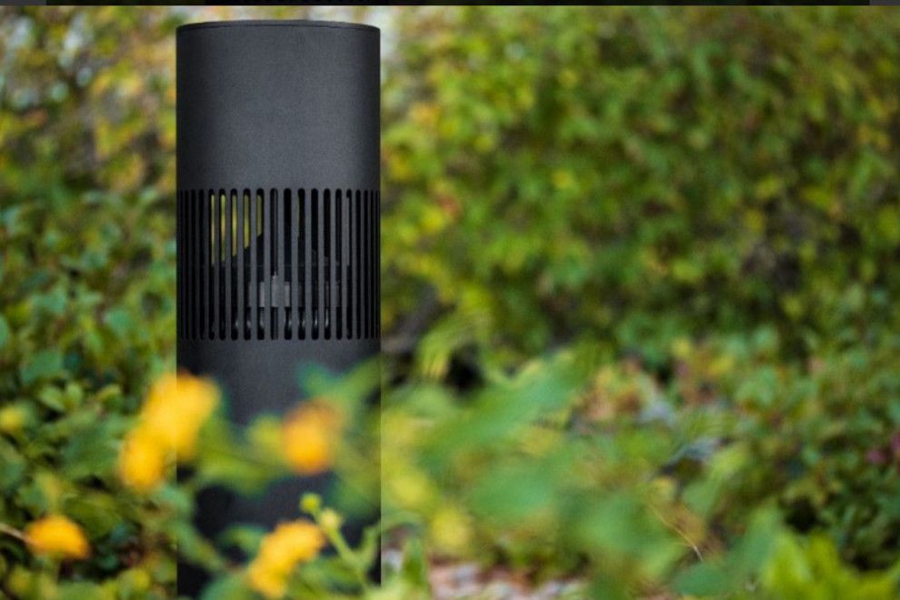 A black cylindrical object is sitting in the middle of a garden.