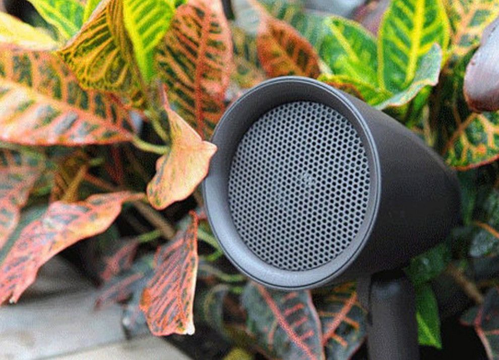A black speaker is sitting in front of a plant.