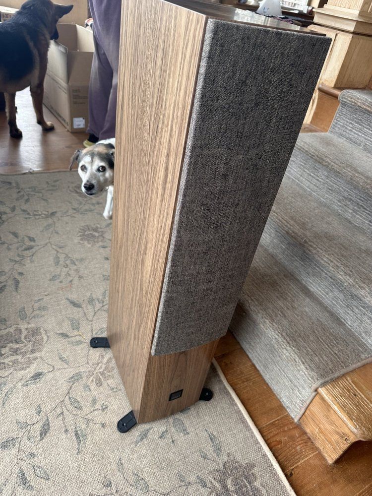A dog is standing next to a speaker in a living room.