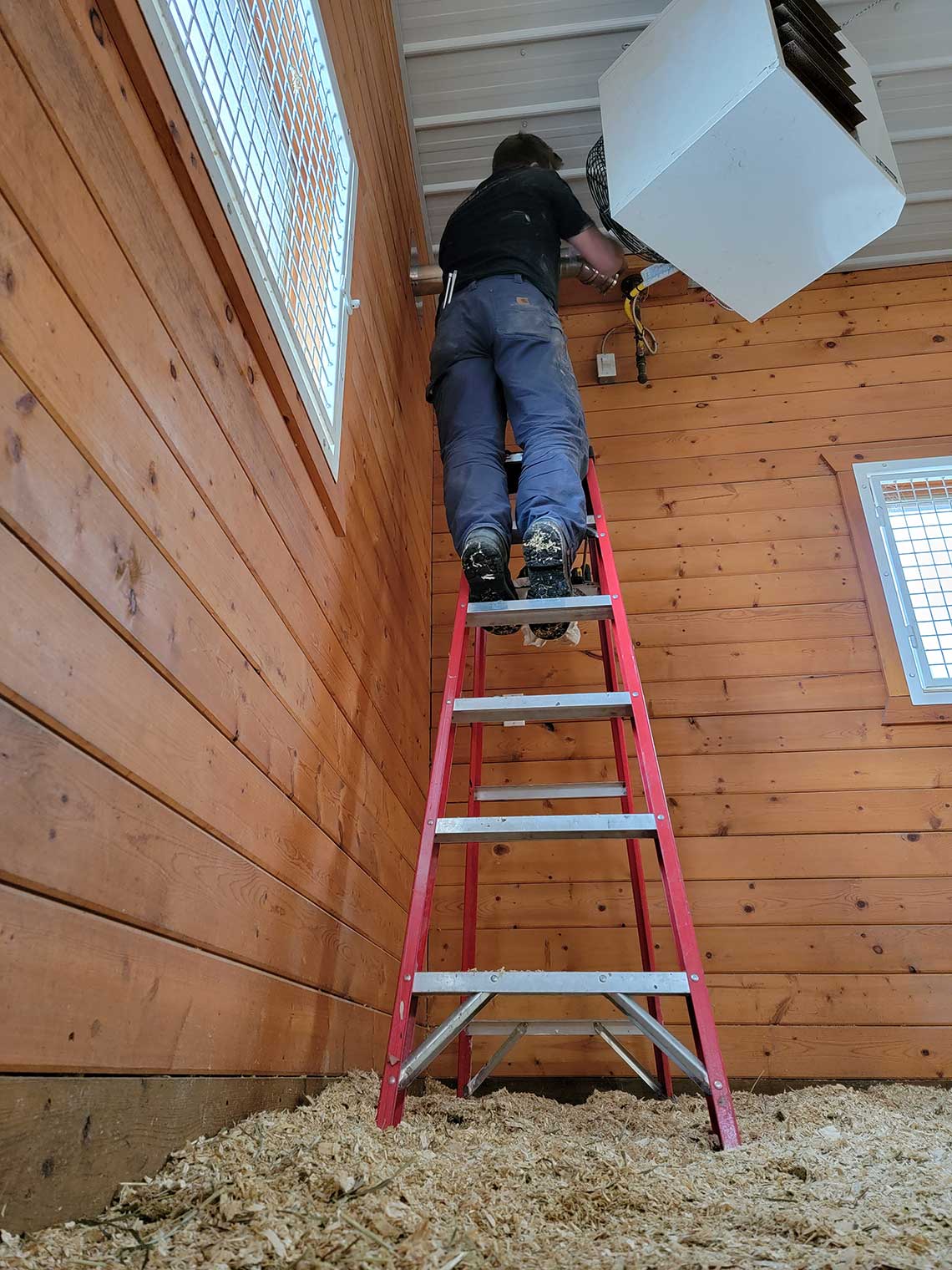 A man is standing on a ladder in a wooden building.