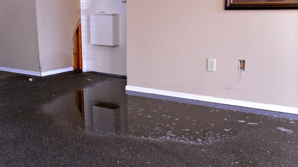 Expert Water Damage Restoration in Dumfries