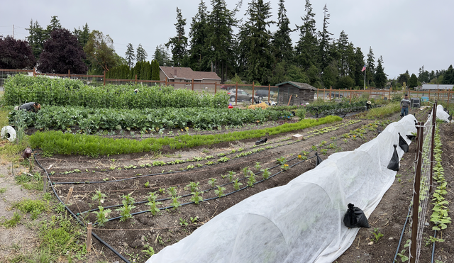 Community Freeze Dryer Project in Port Townsend