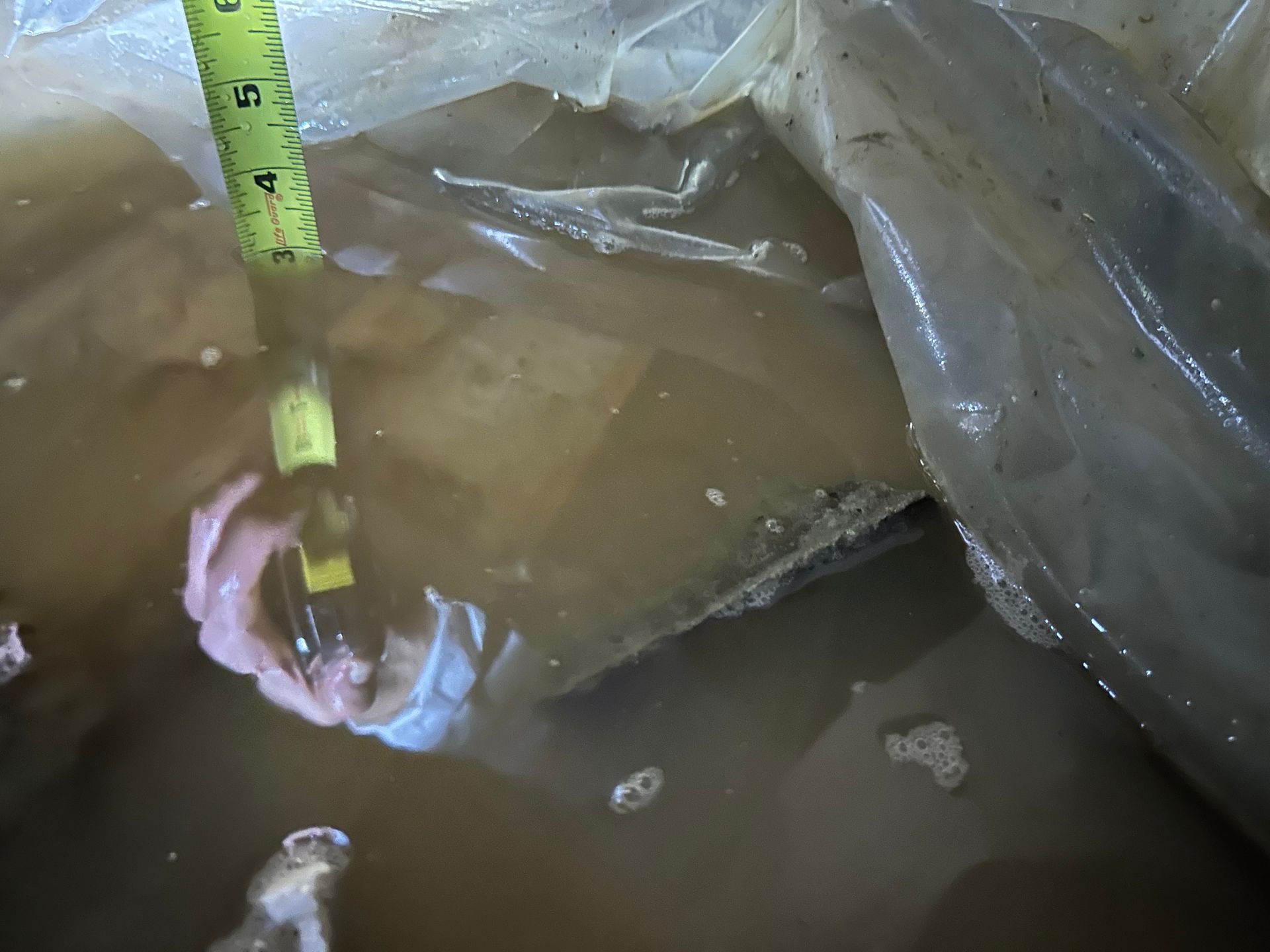 A person is holding a tape measure in a bucket of water.