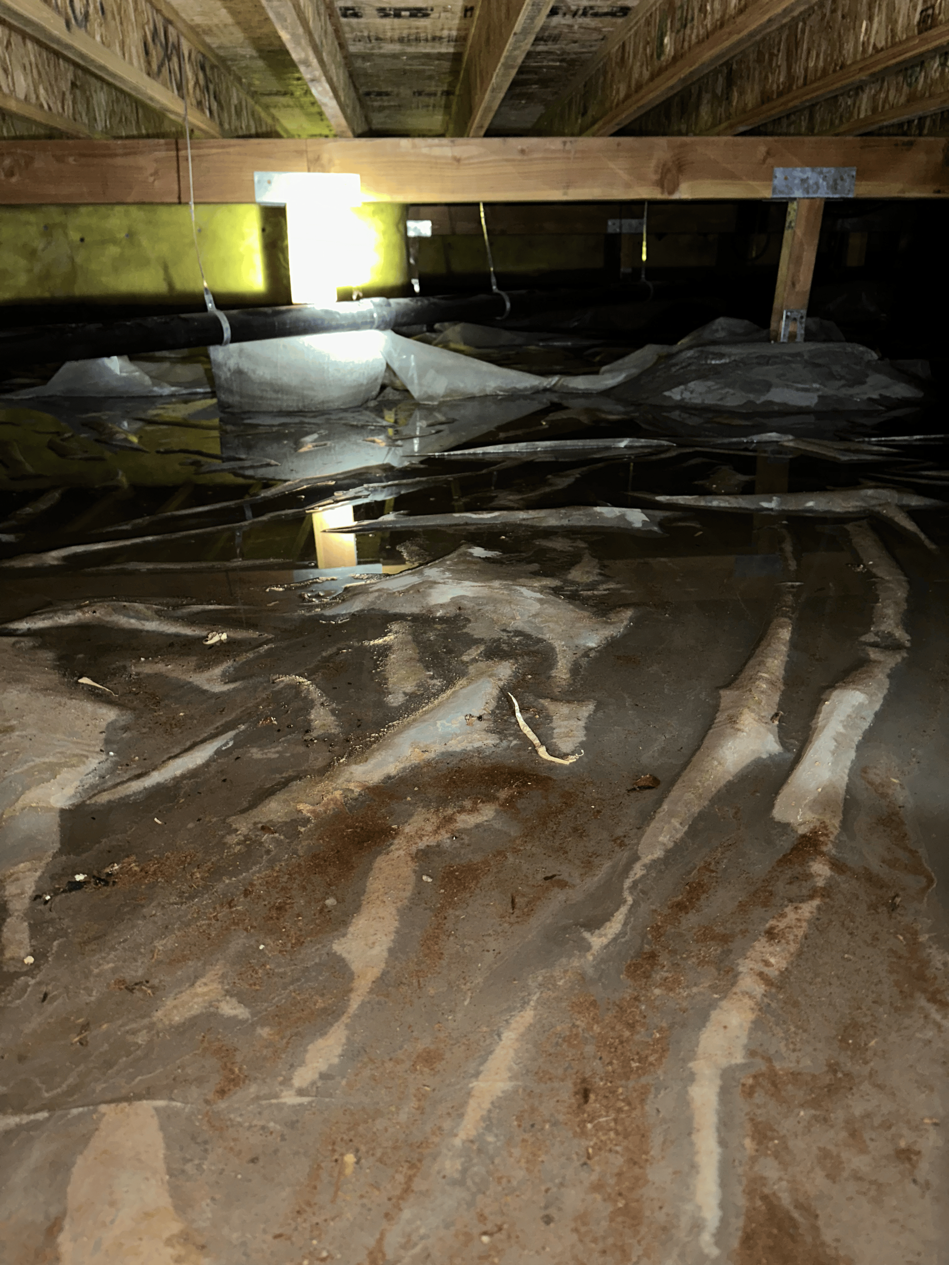 A flooded basement with a lot of plastic on the floor.