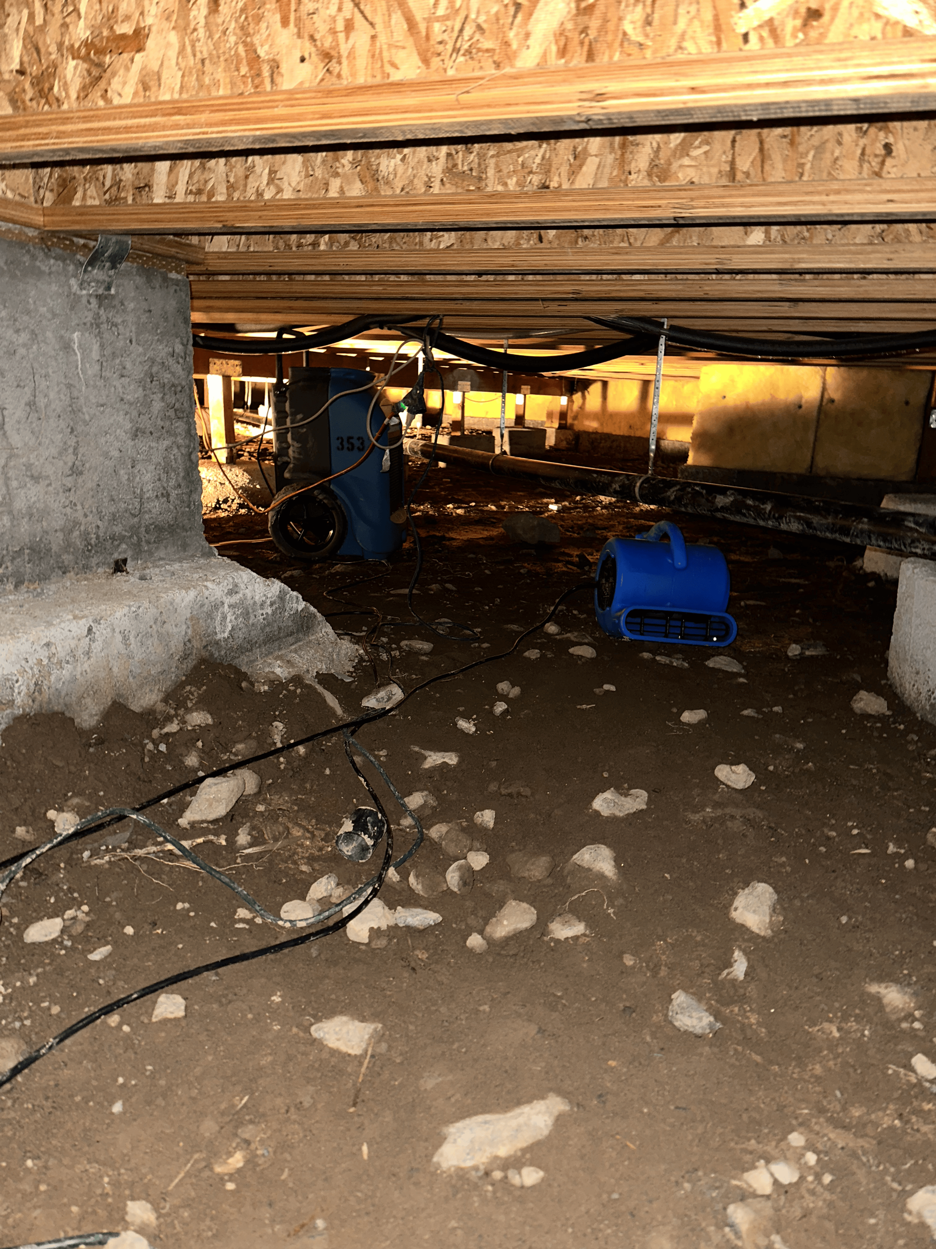 There is a blue fan in the crawl space of a house.
