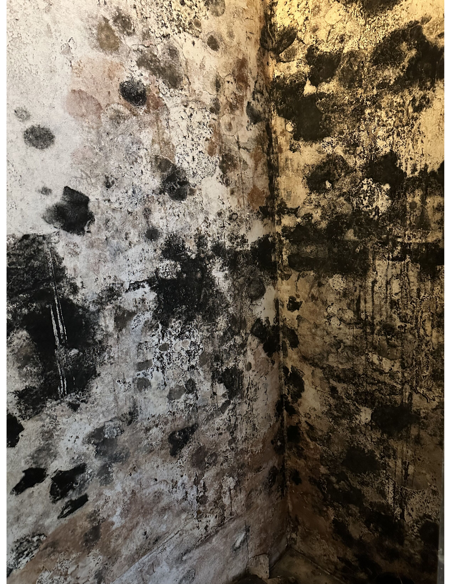 A close up of a wall with black mold on it.