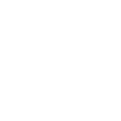 Planet Elite Martial Arts logo