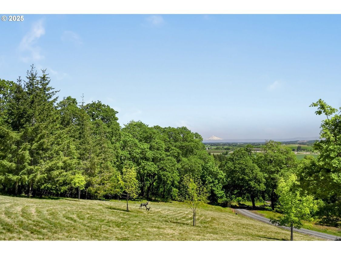 McMinnville Modern Home  View