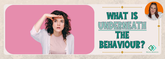 What is underneath the behaviour? - Mosaic Mediation