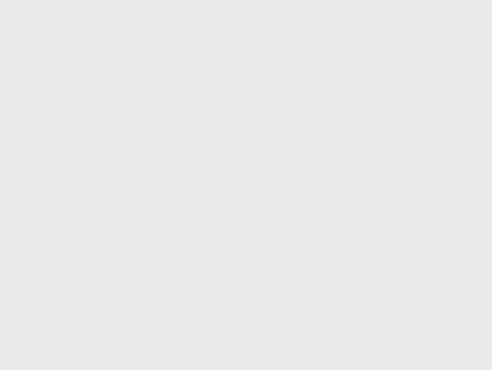 Light gray blank screen with no visible objects or text