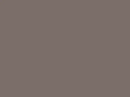 Solid taupe-brown screen with no visible content