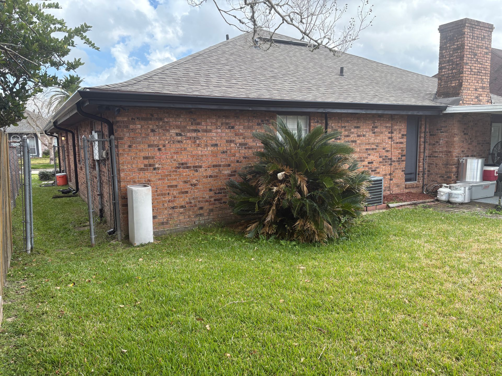 A backyard view of a red-brick residential house with a large sago palm near the wall and a green lawn.