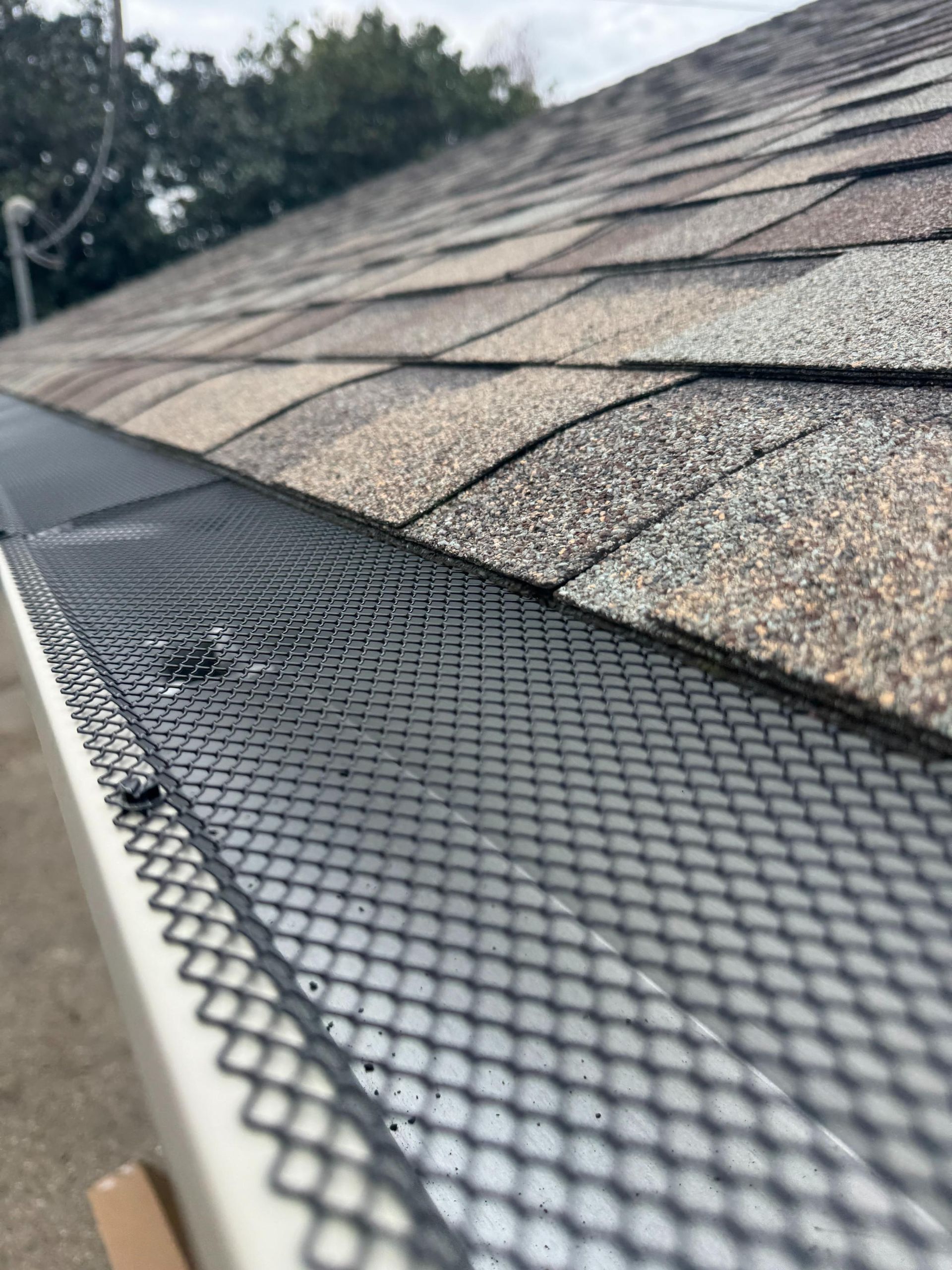A close up of a gutter on a roof with a mesh on it.
