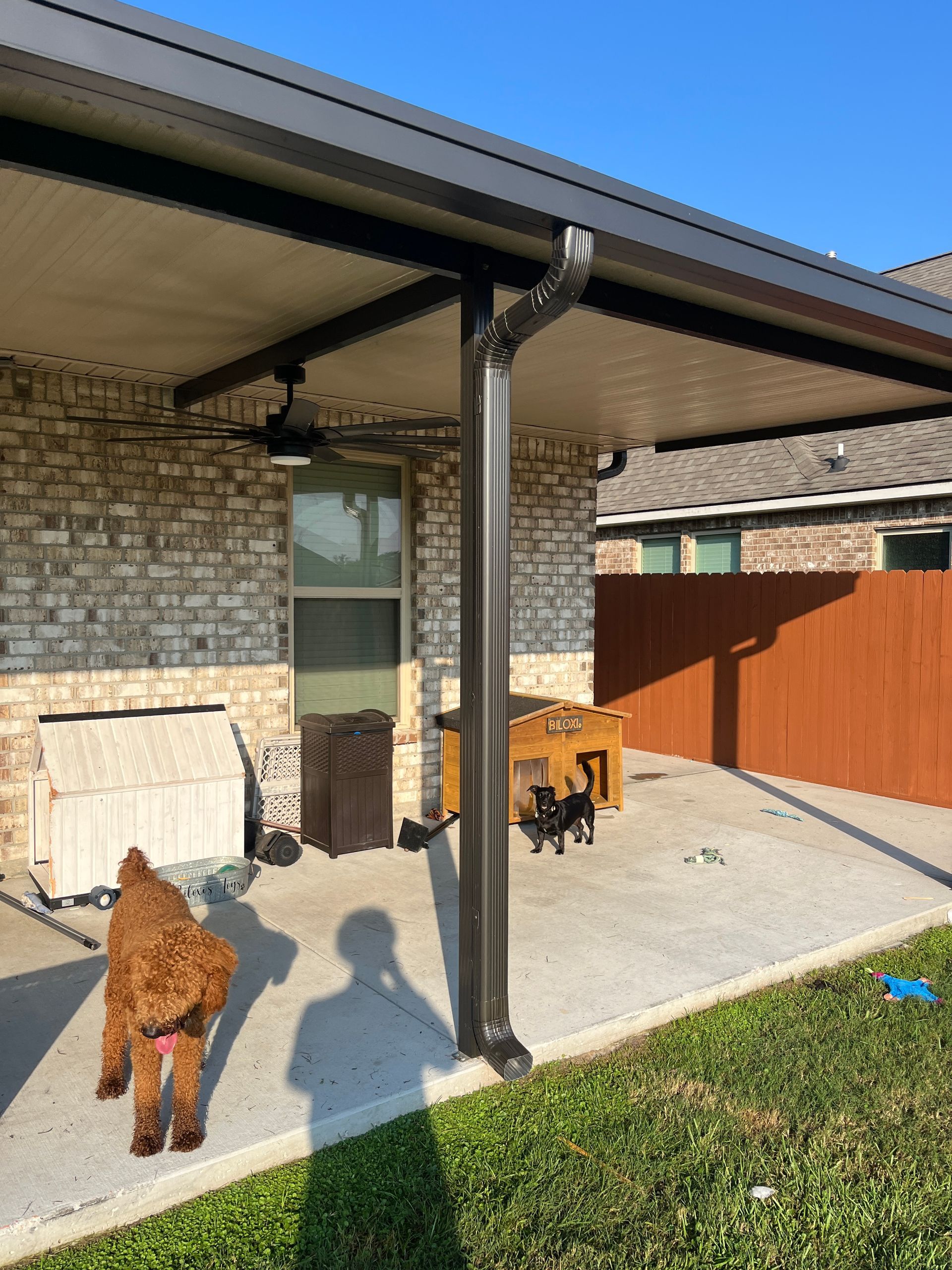 A brown dog stands on a concrete patio under a covered porch; another small dog and a wooden dog house are in the back.