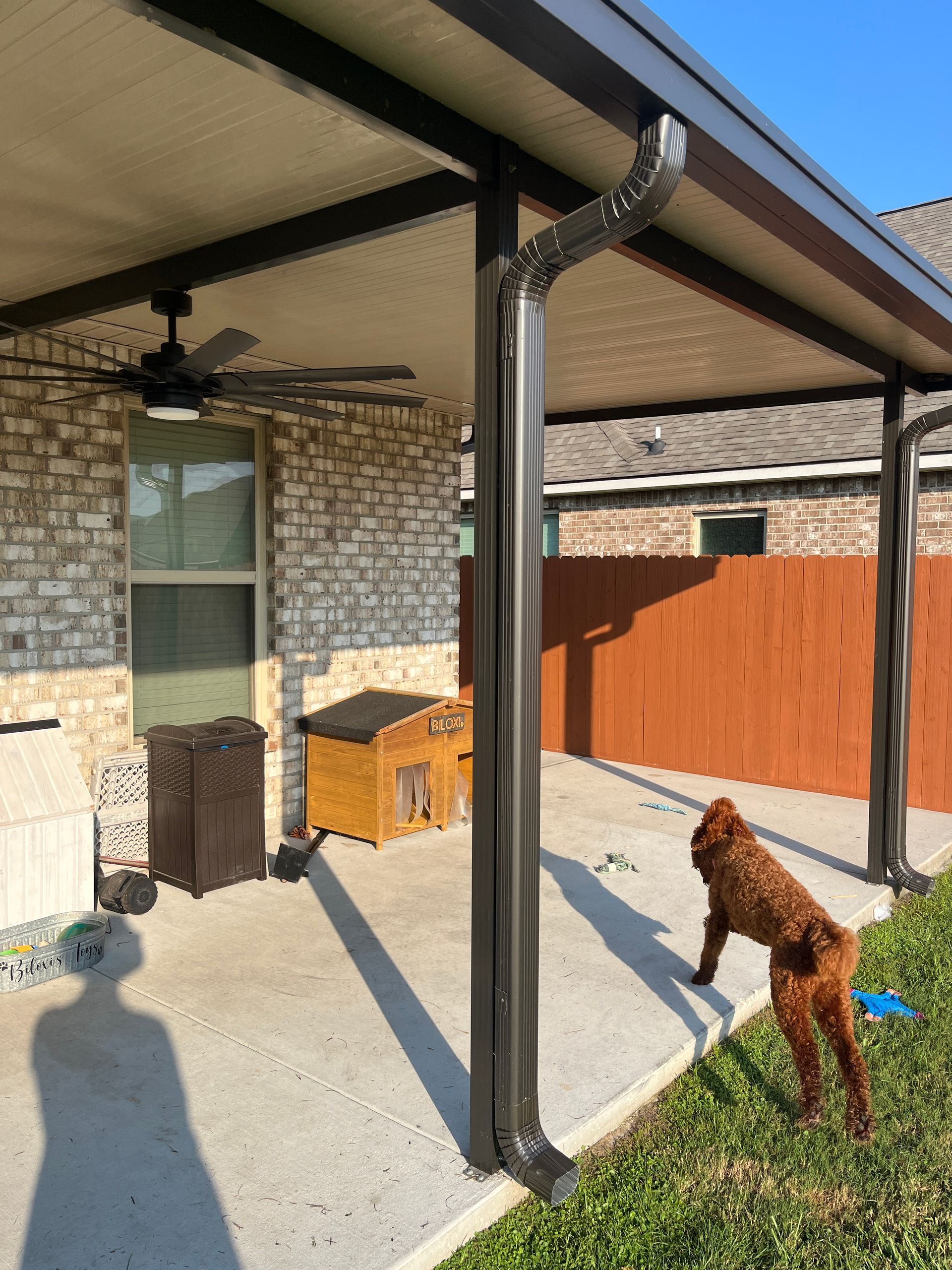 A brown dog stands on a concrete patio under a covered porch attached to a brick house with a dark metal downspout.