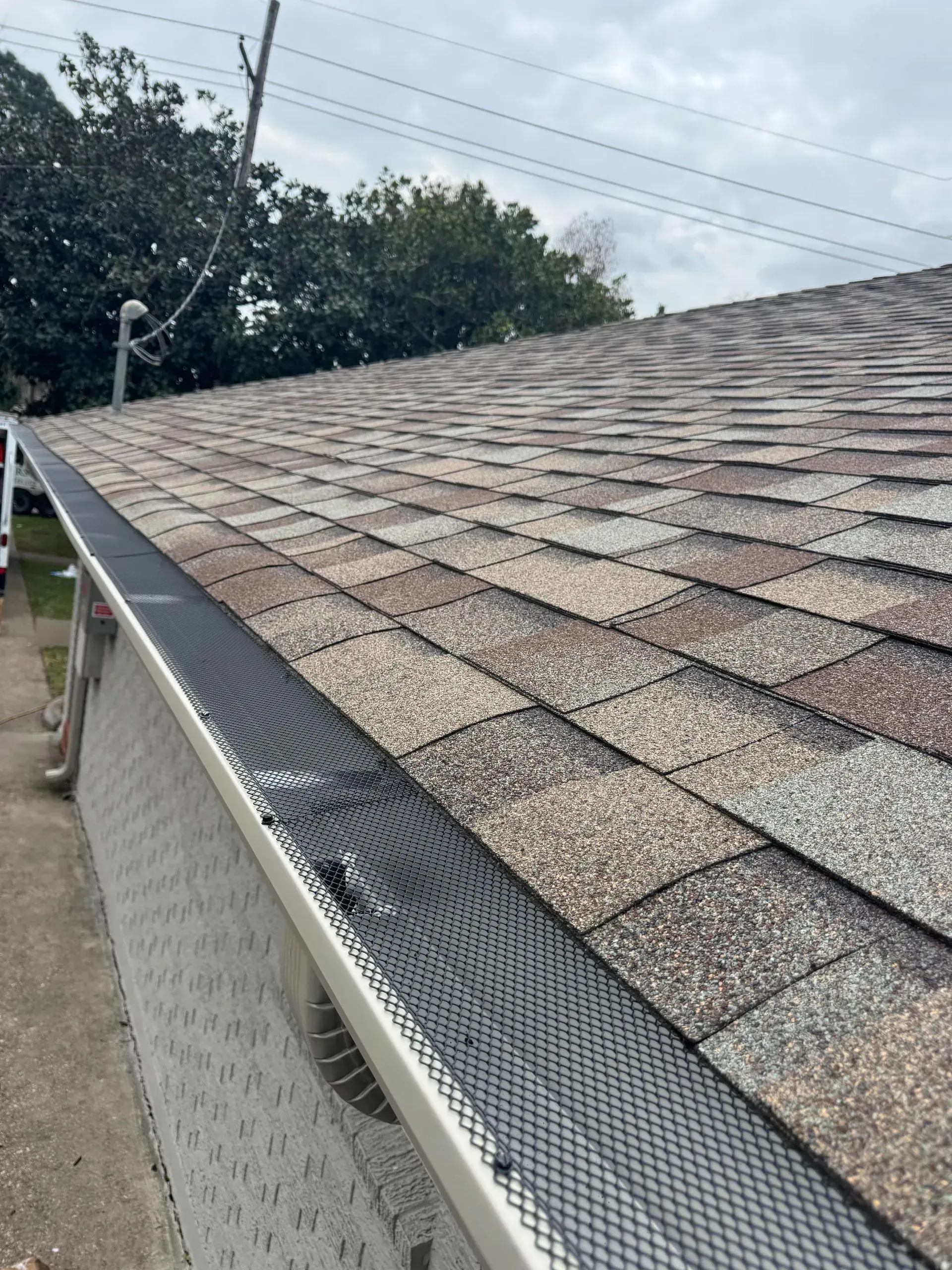 A close-up view of a shingled roof with a black plastic gutter guard installed over a metallic gutter.