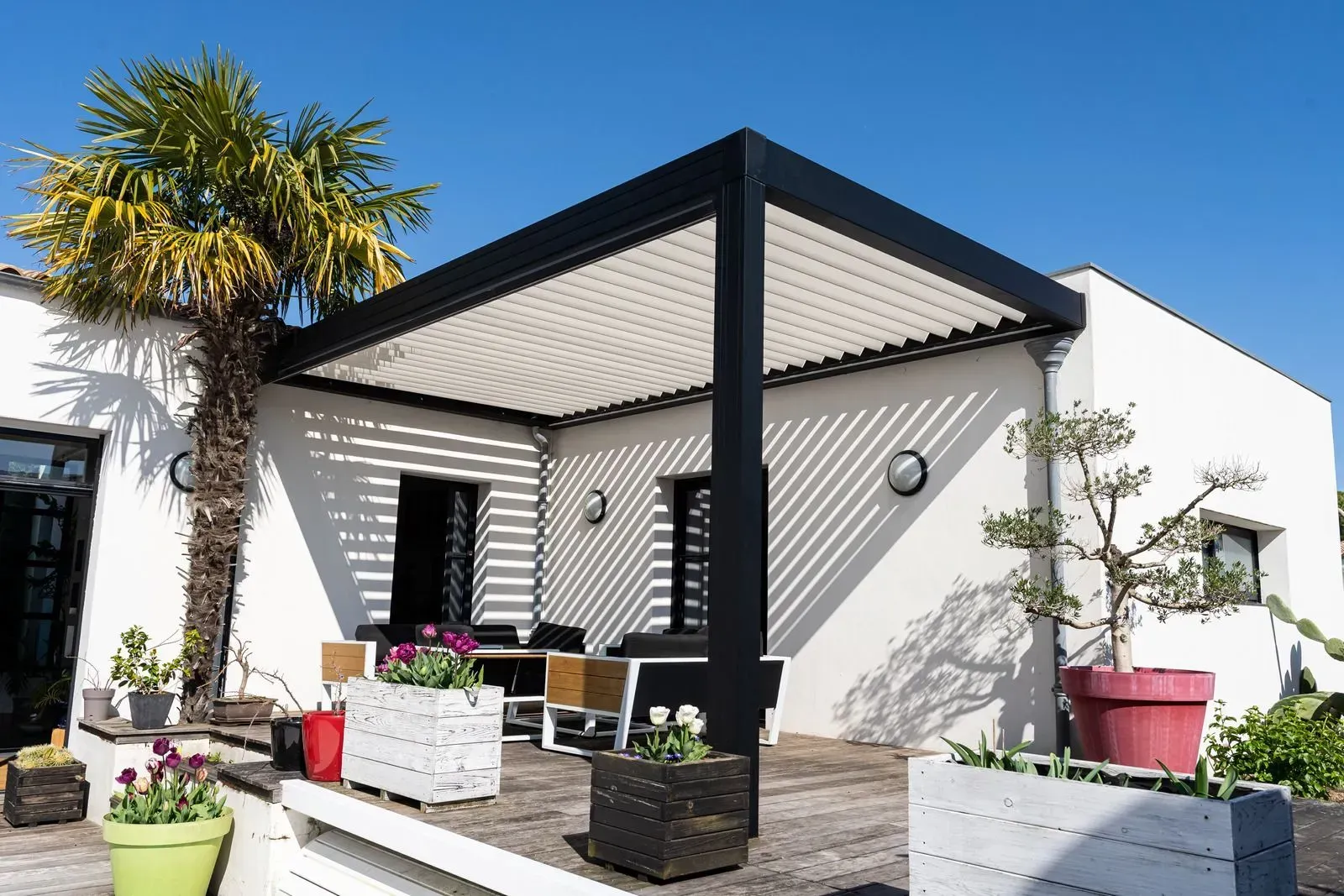 Modern white patio with black pergola, potted plants, and a palm tree in bright sunlight