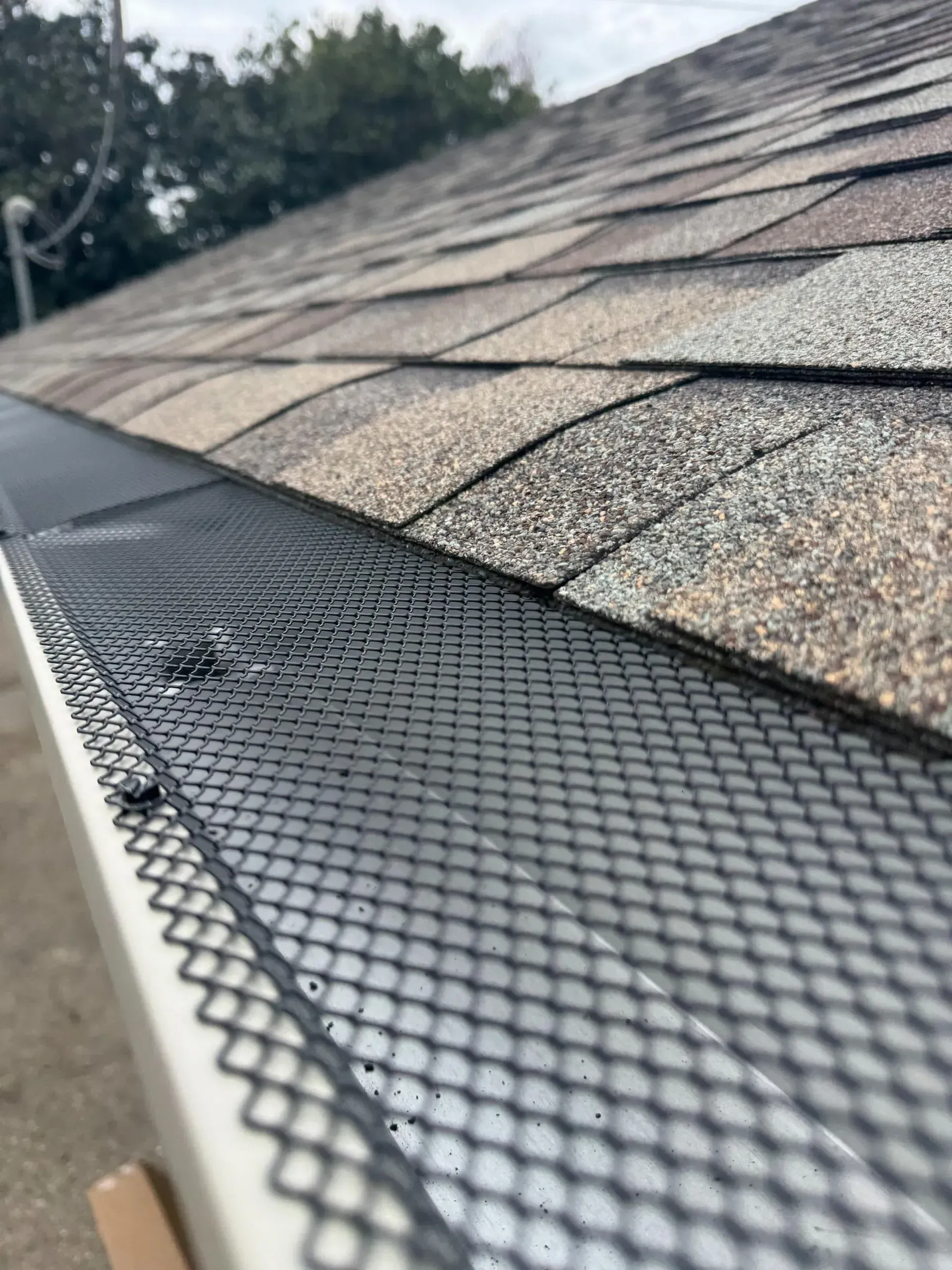 Gutter guard installed along a shingled roof edge beside a rain gutter